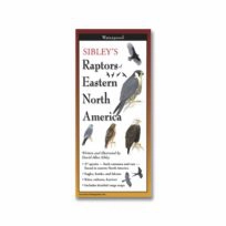 Folding Field Guide Sibleys Raptors Eastern North America, available at The Audubon Shop, the best shop for bird watchers, Madison CT