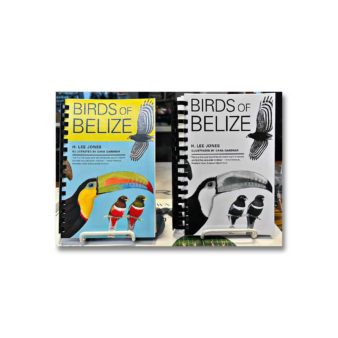 Birds of Belize, available at The Audubon Shop, the best shop for birders, Madison CT