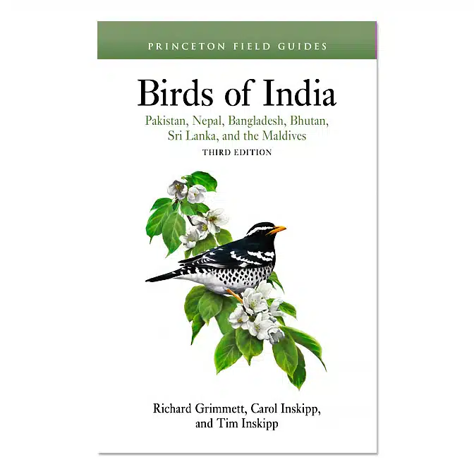 Birds of India, available at The Audubon Shop, the best shop for bird watchers, Madison CT