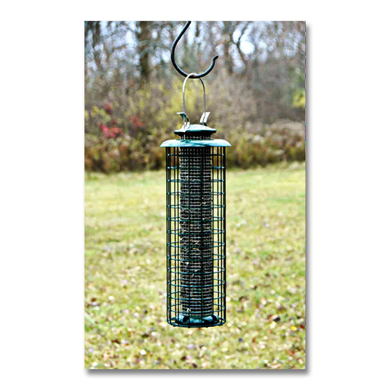  Seed Screen Bird Feeder