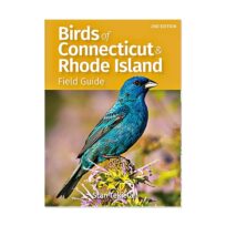 Birds of CT and Rhode Island Field Guide, available at The Audubon Shop, the best shop for bird watchers, Madison CT