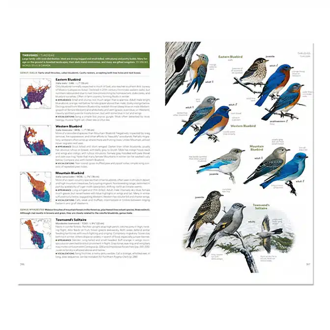 National Geographic Field Guide to Birds of the United States and Canada 8th edition, National Geographic Field Guide to Birds of the United States and Canada 8th edition