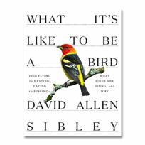 What it's Like to Be a Bird, by David Alle3n Sibley, available at The Audubon Shop, the best shop for birdwatchers, Madison, CT