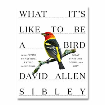 What it's Like to Be a Bird, by David Alle3n Sibley, available at The Audubon Shop, the best shop for birdwatchers, Madison, CT