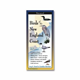 Birds of the New England Coast, available at The Audubon Shop, the best shop for bird watchers, Madison CT