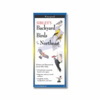 Folding Field Guide Sibleys Backyard Birds of Northeast, available at The Audubon Shop, the best shop for bird watchers, Madison CT