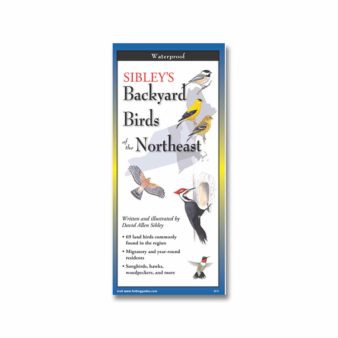 Folding Field Guide Sibleys Backyard Birds of Northeast, available at The Audubon Shop, the best shop for bird watchers, Madison CT