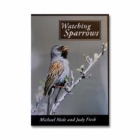 Watching Sparrows of North America