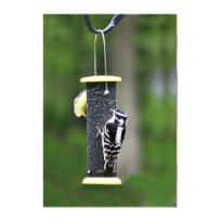 2 Cup Mesh Nyjer Feeder available at The Audubon Shop, the best shop for bird feeders, Madison CT