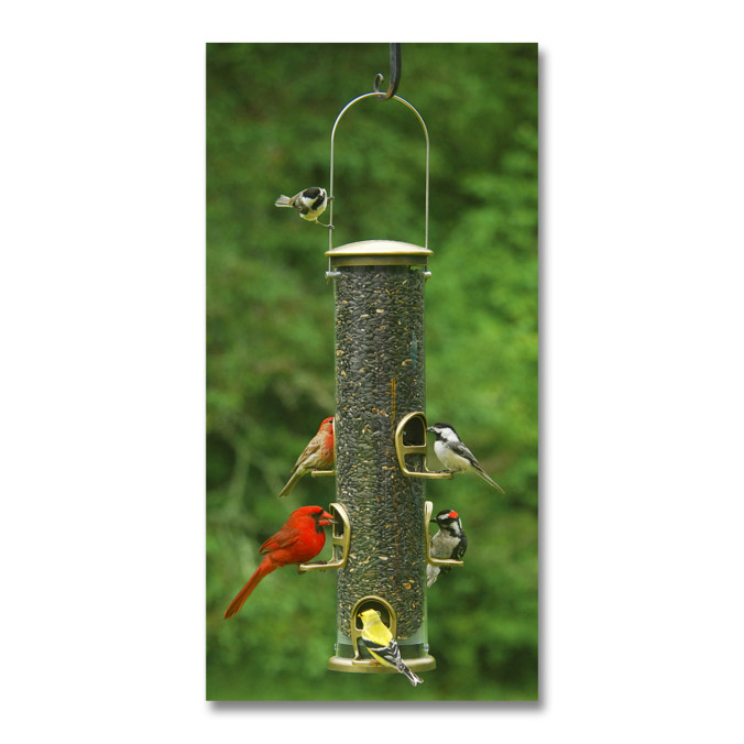 Aspects Hummzinger HighView Hummingbird Feeder The Audubon Shop Birder Supplies, Birdwatching