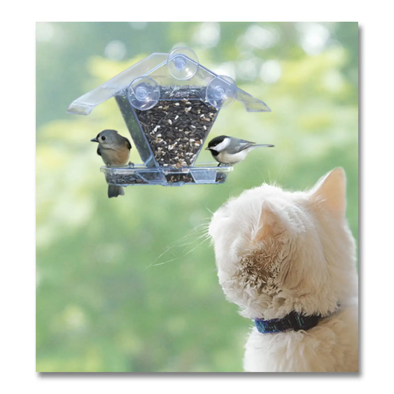 Aspects Window Cafe Bird Feeder, available at The Audubon Shop, Madison, CT