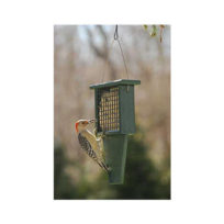 Suet and Peanut Bird Feeders