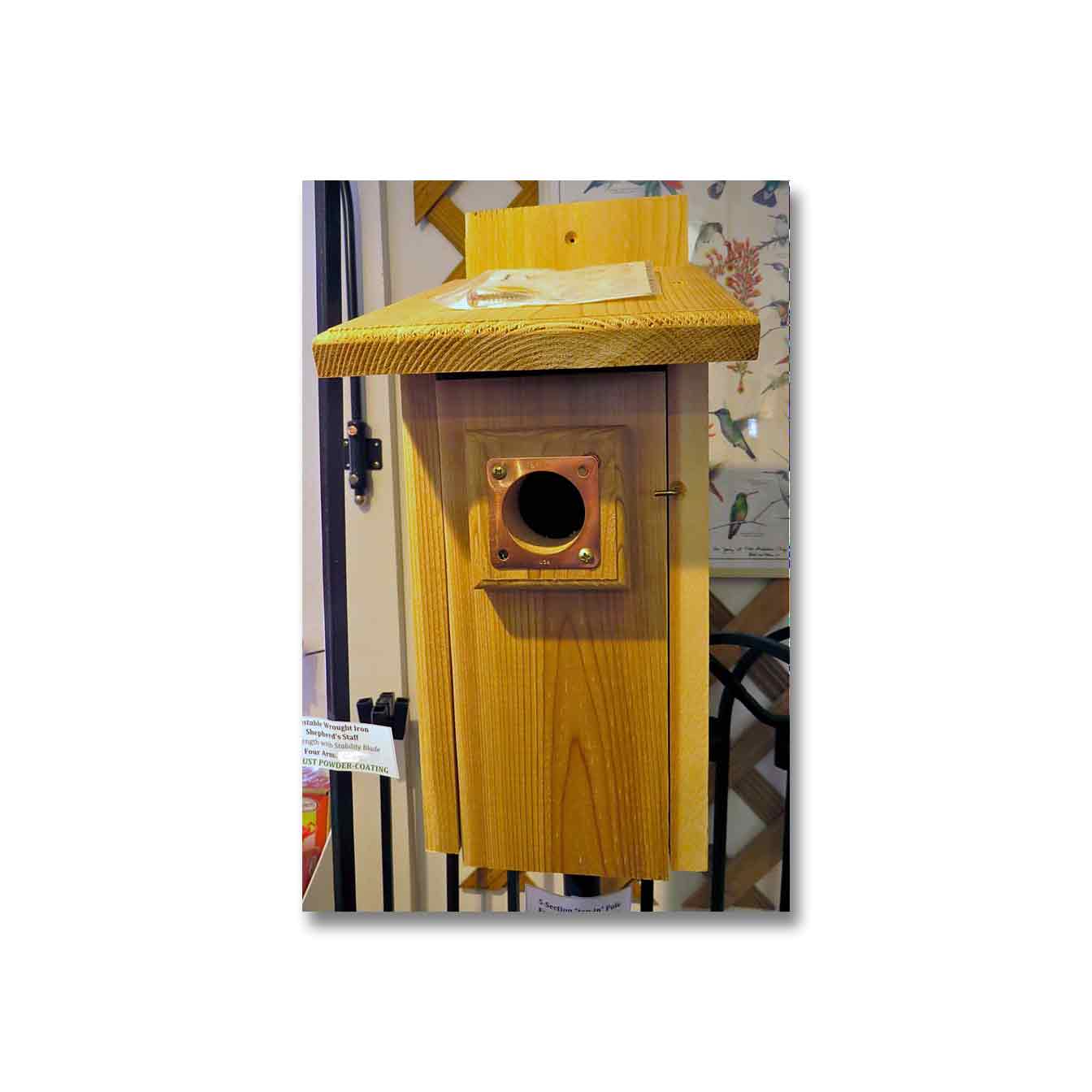 Cedar Bluebird house nesting box Peterson style four Pack 