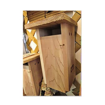 Cedar Slot Style Bluebird Nesting Box, available at The Audubon Shop, the best shop for bird houses, Madison CT