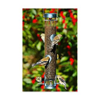 Classic Finch Feeder with Ring Pull Advantage available at The Audubon Shop, the best shop for bird feeders, Madison CT