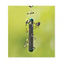 Green Spiral Finch Feeder 17 inch, available at The Audubon Shop, the best shop for bird feeders, Madison CT