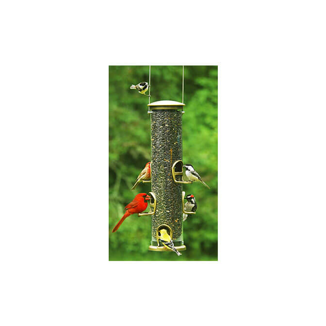 Aspects Quick Clean Big Tube Sunflower Bird Feeder The Audubon