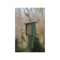 Recycled Plastic Suet Feeder with Tail Prop, available at The Audubon Shop, the best store for birders, in Madison, CT.