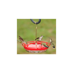 Easy Hummingbird Nectar Recipe