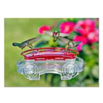 Aspects Jewel Box Window Hummingbird Feeder, available at The Audubon Shop, the best shop for Hummingbird bird feeders, Madison CT