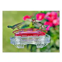 Aspects Jewel Box Window Hummingbird Feeder, available at The Audubon Shop, the best shop for Hummingbird bird feeders, Madison CT