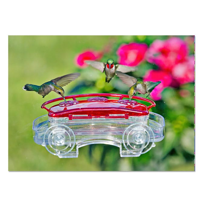 Aspects Jewel Box Window Hummingbird Feeder, available at The Audubon Shop, the best shop for Hummingbird bird feeders, Madison CT