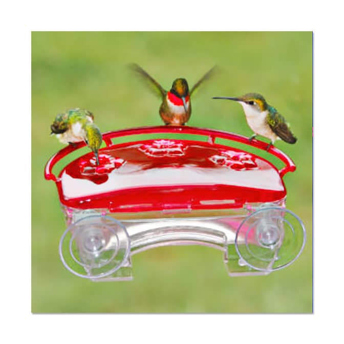 Aspects Jewel Box Window Hummingbird Feeder, available at The Audubon Shop, the best shop for Hummingbird bird feeders, Madison CT