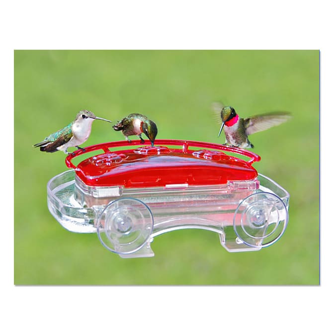 Aspects Jewel Box Window Hummingbird Feeder, available at The Audubon Shop, the best shop for Hummingbird bird feeders, Madison CT