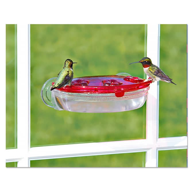 Aspects Jewel Box Window Hummingbird Feeder, available at The Audubon Shop, the best shop for Hummingbird bird feeders, Madison CT