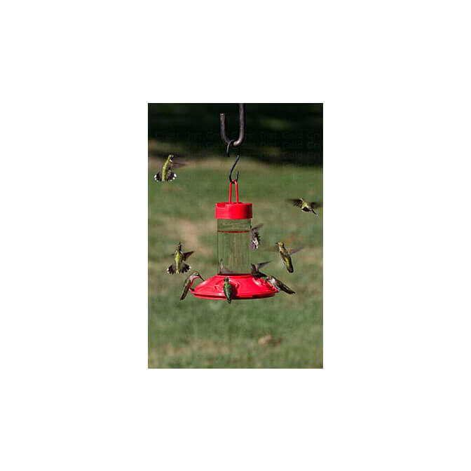 Dr Jb S 16 Oz Clean Feeder The Audubon Shop Birder Supplies
