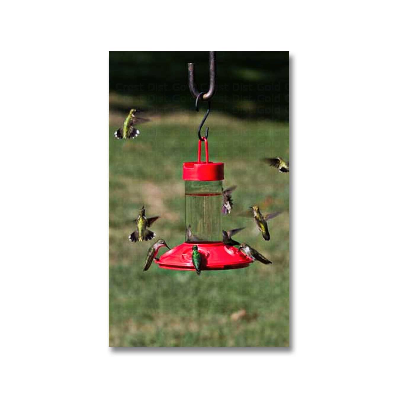 Aspects ASP143 Hummzinger Excel Capacity Hummingbird Feeder – 16 Oz Nectar Feeder