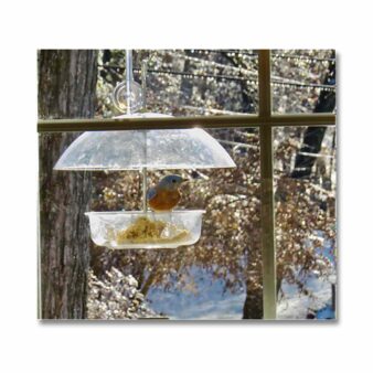 Droll Yankee X1 Seed Saver bird feeder is perfect for feeing Bluebirds. Mealworms cannot crawl out. We make Bluebird Dough for winter feeding.