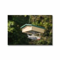 Recycled Upside Down Suet Feeder, available at The Audubon Shop, the best store for birders, in Madison, CT.