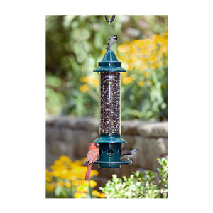 How We Select Bird Feeders at The Audubon Shop