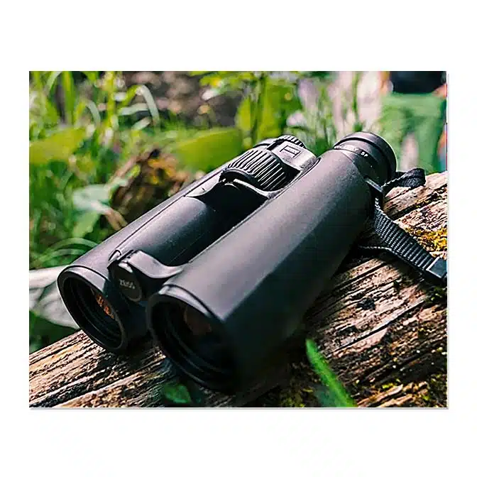 Zeiss Victory SF 10x42 Binocular, available at The Audubon Shop, the best shop for telescopes and binoculars, Madison CT