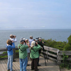 A special last Spring Bird Walk of the 2018 season!