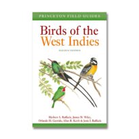 Birds of the West Indies Second Edition available at The Audubon Shop, the best shop for bird watchers, Madison CT