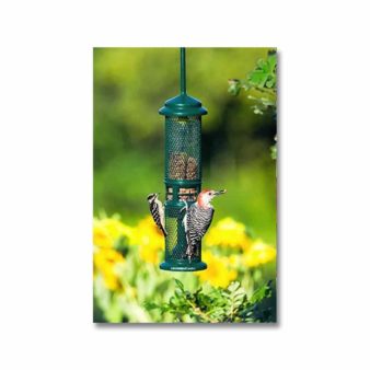 Brome Squirrel Buster Nut Bird Feeder, available at The Audubon Shop, the best shop for bird watchers, Madison CT