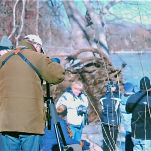 Eagle Watch on the CT River