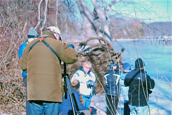 eagle watch