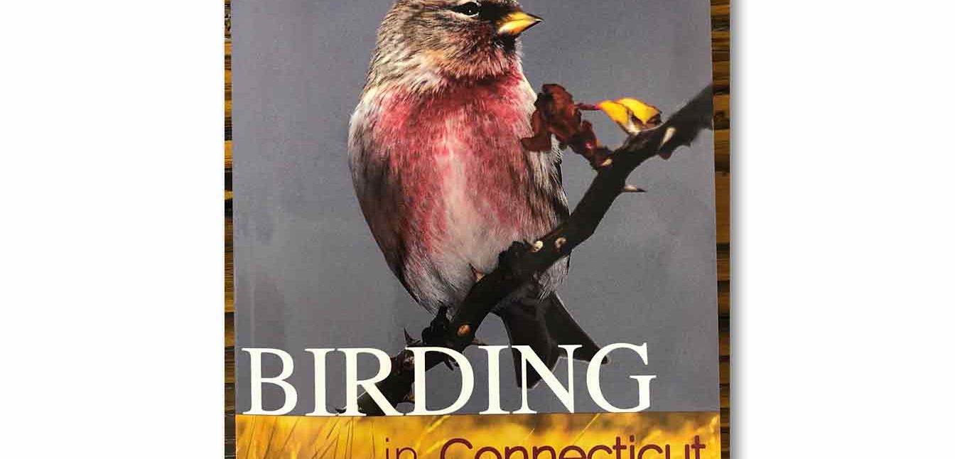 Birding in Connecticut, available at The Audubon Shop, the best shop for bird watchers, Madison CT