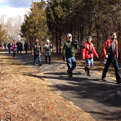 birding in hammonasset