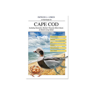 New book – A Field Guide to Cape Cod!