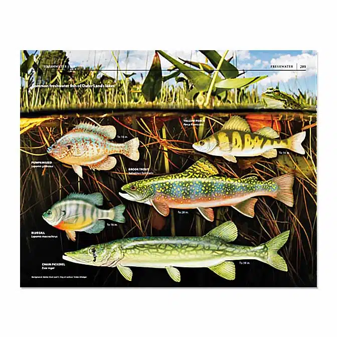 Field Guide to Cape Cod, available at The Audubon Shop, the best shop for nature books, Madison CT