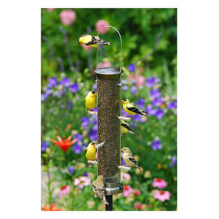 Finch Bird Feeders, available at The Audubon Shop, the best store for birders, Madison, CT