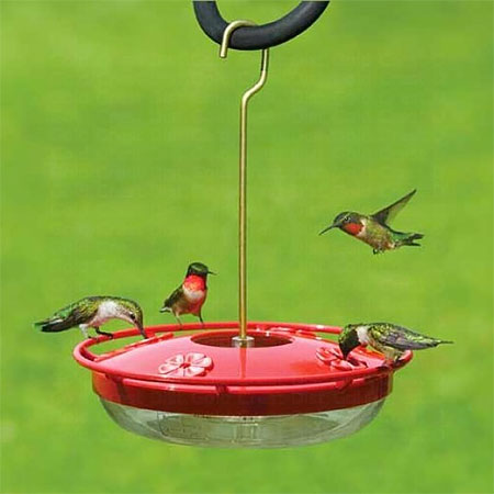 Hummingbird Feeders, available at The Audubon Shop, the best store for birders, Madison, CT