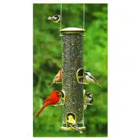 Tube Style Bird Feeders