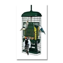 Brome Squirrel Buster Suet Bird Feeder, available at The Audubon Shop, the best shop for bird watchers, Madison CT
