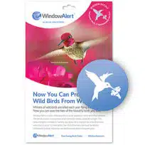 Prevent Bird Strikes