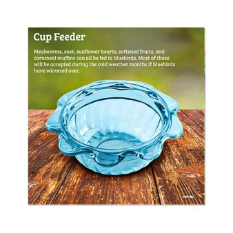 Bluebird Single Cup Feeder, available at The Audubon Shop, the best shop for birdwatchers, Madison CT